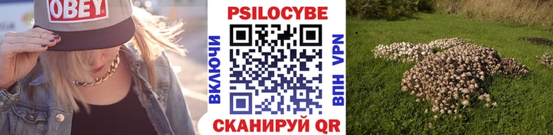 Галлюциногенные грибы Cubensis Белёв